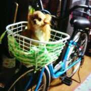 ヒメ日記 2025/02/19 11:05 投稿 真紀-まき- 僕の◯◯なお姉さん、お貸しします