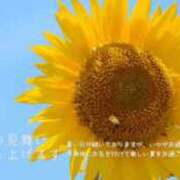 ヒメ日記 2025/07/10 17:51 投稿 真紀-まき- 僕の◯◯なお姉さん、お貸しします