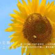 ヒメ日記 2025/07/10 17:55 投稿 真紀-まき- 僕の◯◯なお姉さん、お貸しします