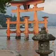 ヒメ日記 2025/07/19 15:05 投稿 真紀-まき- 僕の◯◯なお姉さん、お貸しします