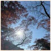 ヒメ日記 2024/12/11 10:04 投稿 かなた 奥鉄オクテツ大阪