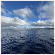 ヒメ日記 2025/01/08 22:59 投稿 かなた 奥鉄オクテツ大阪