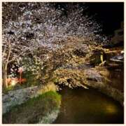 ヒメ日記 2025/04/03 23:46 投稿 かなた 奥鉄オクテツ大阪