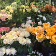 ヒメ日記 2025/04/07 19:52 投稿 かなた 奥鉄オクテツ大阪