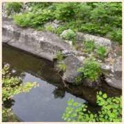 ヒメ日記 2025/05/16 13:23 投稿 かなた 奥鉄オクテツ大阪