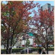 ヒメ日記 2025/08/29 11:58 投稿 かなた 奥鉄オクテツ大阪