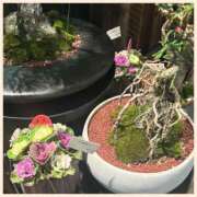 ヒメ日記 2025/12/30 09:02 投稿 かなた 奥鉄オクテツ大阪