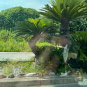 ヒメ日記 2025/07/01 15:53 投稿 ゆきな 奥鉄オクテツ大阪