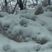 ヒメ日記 2026/02/08 07:49 投稿 ゆきな 奥鉄オクテツ大阪