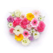 ヒメ日記 2025/04/12 11:38 投稿 こまち 奥鉄オクテツ大阪