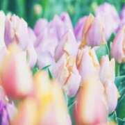 ヒメ日記 2025/04/15 17:42 投稿 こまち 奥鉄オクテツ大阪