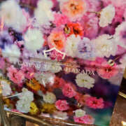 ヒメ日記 2025/06/18 22:14 投稿 こまち 奥鉄オクテツ大阪