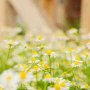 ヒメ日記 2025/10/12 10:31 投稿 こまち 奥鉄オクテツ大阪