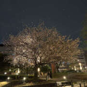 ヒメ日記 2025/04/13 18:06 投稿 ひとみ 奥鉄オクテツ大阪