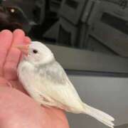 ヒメ日記 2025/06/29 23:05 投稿 ひとみ 奥鉄オクテツ大阪