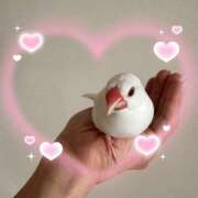 ヒメ日記 2025/07/13 15:20 投稿 ひとみ 奥鉄オクテツ大阪