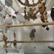 ヒメ日記 2025/07/28 23:10 投稿 ひとみ 奥鉄オクテツ大阪