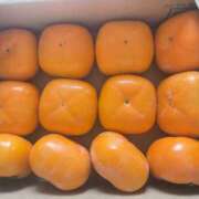 ヒメ日記 2025/10/21 12:40 投稿 ひとみ 奥鉄オクテツ大阪