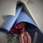 ヒメ日記 2024/12/19 22:37 投稿 のりこ 奥鉄オクテツ大阪