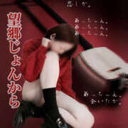 ヒメ日記 2025/03/12 22:56 投稿 のりこ 奥鉄オクテツ大阪