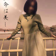 ヒメ日記 2025/03/20 00:31 投稿 のりこ 奥鉄オクテツ大阪