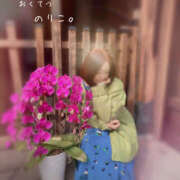 ヒメ日記 2026/01/22 14:02 投稿 のりこ 奥鉄オクテツ大阪