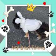 ヒメ日記 2025/02/05 11:11 投稿 あまみ 奥鉄オクテツ大阪