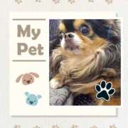 ヒメ日記 2025/03/18 11:05 投稿 あまみ 奥鉄オクテツ大阪