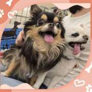 ヒメ日記 2025/09/12 10:22 投稿 あまみ 奥鉄オクテツ大阪