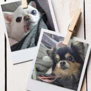 あまみ ※無題 奥鉄オクテツ大阪