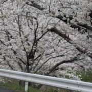 ヒメ日記 2025/04/02 22:15 投稿 えま 奥鉄オクテツ大阪