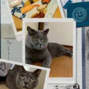 ヒメ日記 2026/01/15 23:20 投稿 えま 奥鉄オクテツ大阪