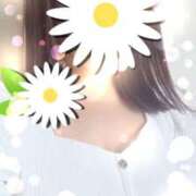 ヒメ日記 2025/04/04 11:12 投稿 つぐみ 奥鉄オクテツ大阪