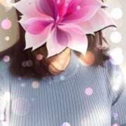 ヒメ日記 2025/04/07 11:40 投稿 つぐみ 奥鉄オクテツ大阪