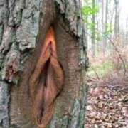 ヒメ日記 2024/12/23 14:50 投稿 いろは 奥鉄オクテツ大阪