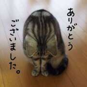 ヒメ日記 2025/04/01 12:53 投稿 みやび 奥鉄オクテツ大阪