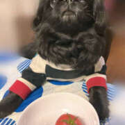 ヒメ日記 2025/03/16 22:30 投稿 りつこ 奥鉄オクテツ大阪