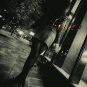 ヒメ日記 2026/02/12 11:30 投稿 黒木 ちひろ イケない女教師 大阪店