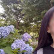 ヒメ日記 2025/06/07 13:28 投稿 真由美(まゆみ) あなたの妻