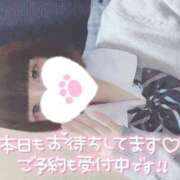 ヒメ日記 2024/12/28 14:04 投稿 なぎさ 難波女子高生はやめました！！