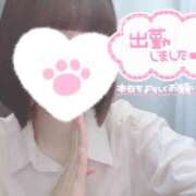 ヒメ日記 2025/02/18 14:32 投稿 なぎさ 難波女子高生はやめました！！