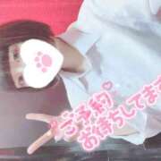 ヒメ日記 2025/03/03 13:58 投稿 なぎさ 難波女子高生はやめました！！