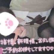 ヒメ日記 2025/03/21 12:08 投稿 なぎさ 難波女子高生はやめました！！