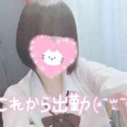 ヒメ日記 2025/04/08 12:10 投稿 なぎさ 難波女子高生はやめました！！