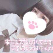 ヒメ日記 2025/04/14 11:58 投稿 なぎさ 難波女子高生はやめました！！