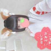 ヒメ日記 2025/04/21 13:58 投稿 なぎさ 難波女子高生はやめました！！