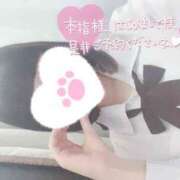 ヒメ日記 2025/09/15 14:09 投稿 なぎさ 難波女子高生はやめました！！