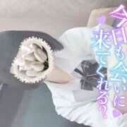 ヒメ日記 2025/11/10 12:30 投稿 なぎさ 難波女子高生はやめました！！