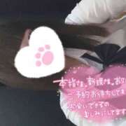 ヒメ日記 2026/06/23 14:20 投稿 なぎさ 難波女子高生はやめました！！