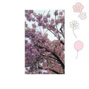 ヒメ日記 2025/02/11 19:53 投稿 しいな 妻天 京橋店